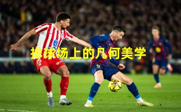 排球场上的几何美学